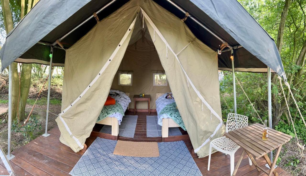 Eco-Camping De Helleborus, Yurt, Bell&Safari tent, Pipo, Caravans, Dorms&Units Groningue Extérieur photo